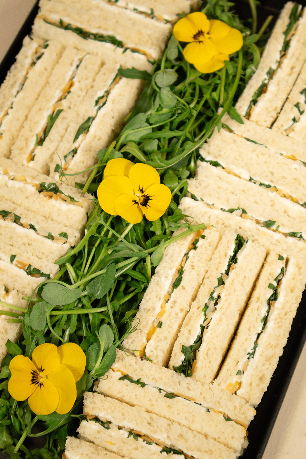 24 Fingers Abricot Chèvre 🌱